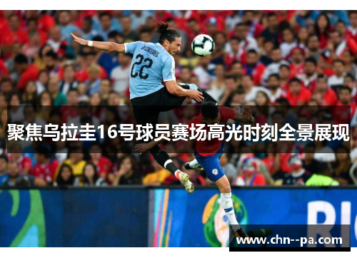 聚焦乌拉圭16号球员赛场高光时刻全景展现