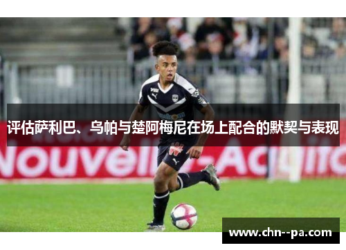 评估萨利巴、乌帕与楚阿梅尼在场上配合的默契与表现