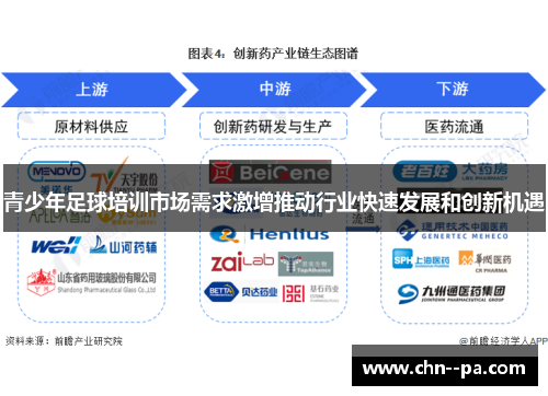 青少年足球培训市场需求激增推动行业快速发展和创新机遇